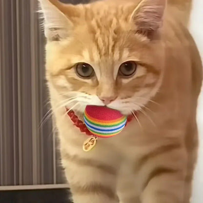 Rainbow Ball – Cat Toy